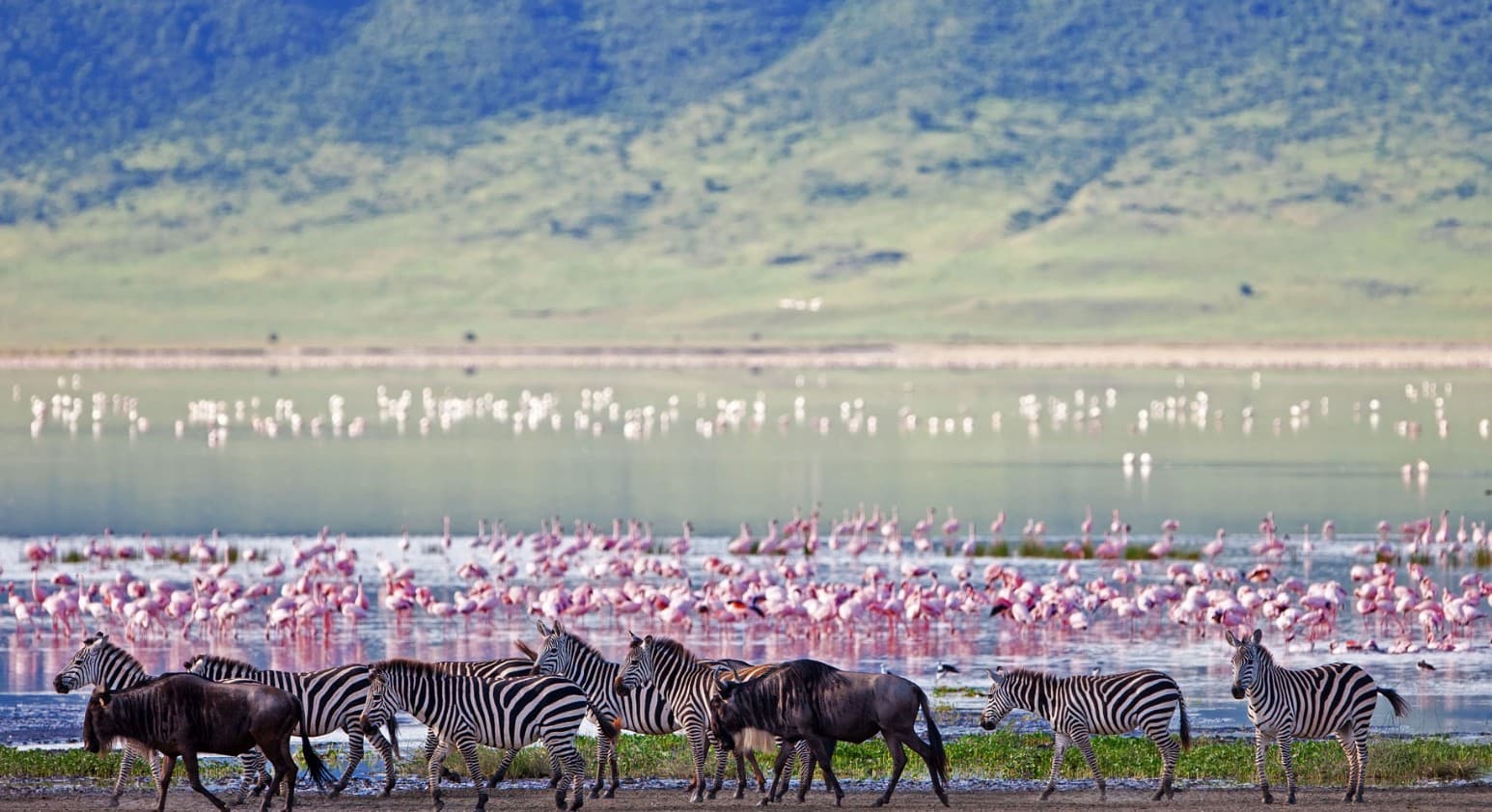 Cratère Ngorongoro