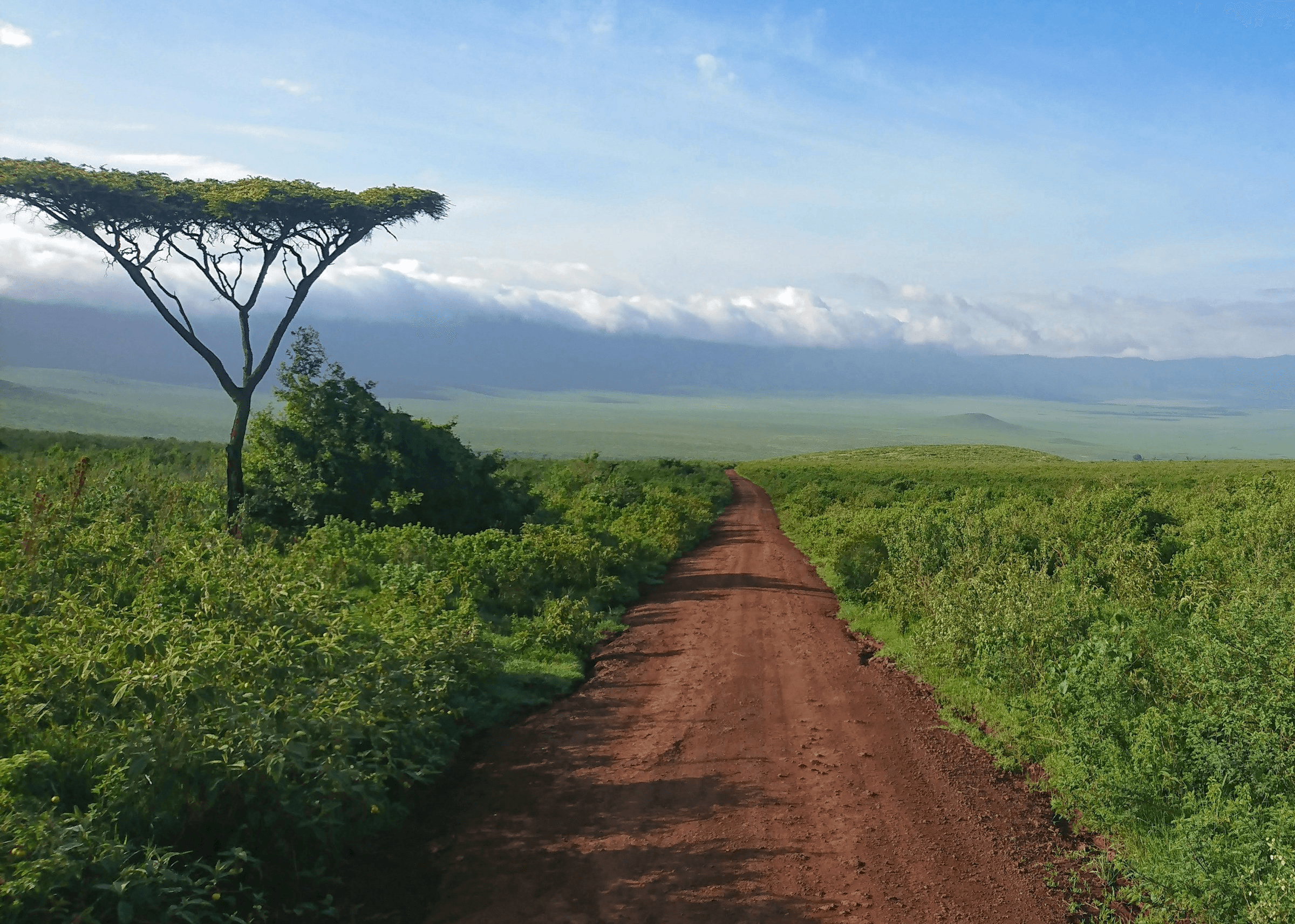 Paysage Safari